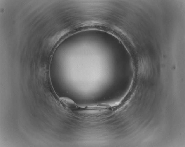 X0000077351313200610201314