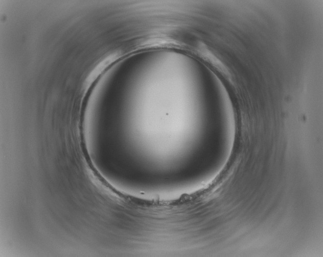 X0000077351330200610201315
