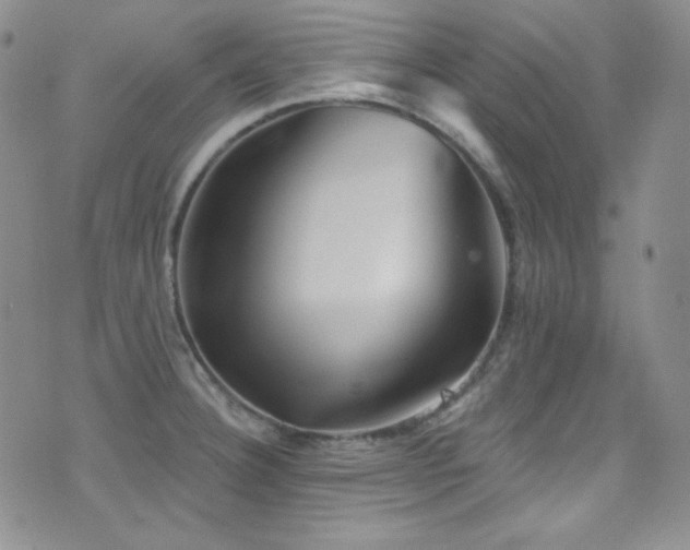 X0000077351332200610201315