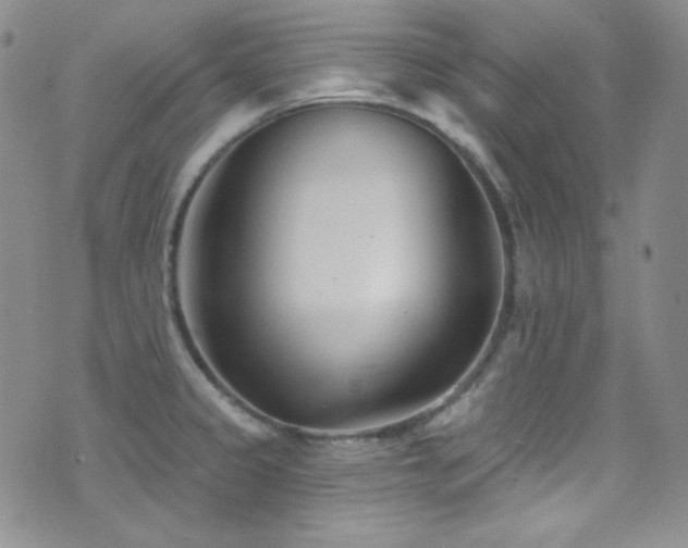 X0000077351333200610201315