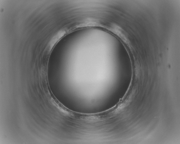 X0000077351337200610201315