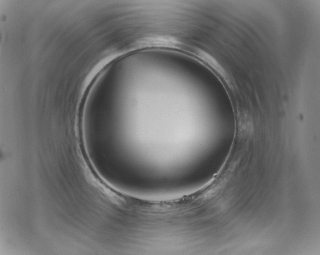 X0000077351339200610201315