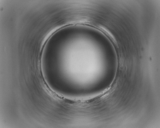 X0000077351340200610201315