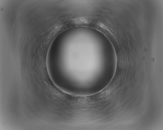 X0000077351345200610201314