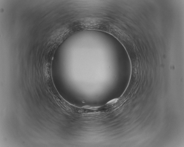 X0000077351346200610201314