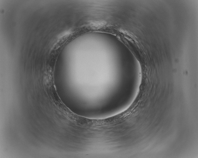 X0000077351349200610201314