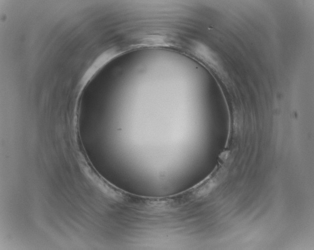 X0000077351378200610201313