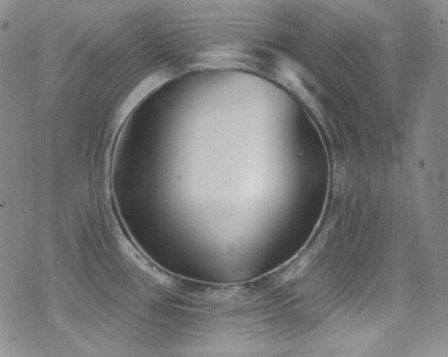 X0000077351386200610201313