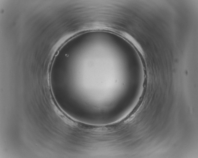 X0000077351388200610201313