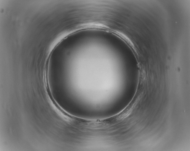 X0000077351391200610201313