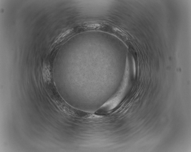 X0000077351394200610201312