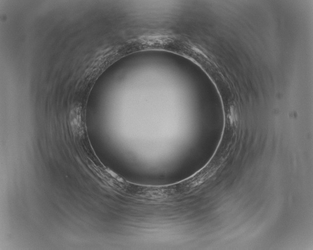 X0000077351396200610201313