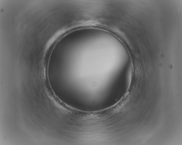 X0000077351414200610201313