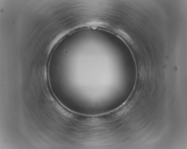X0000077351420200610201313