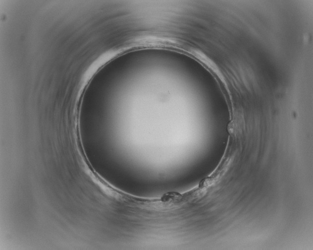X0000077351437200610201313