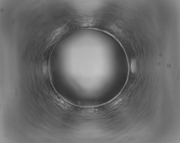 X0000077351444200610201312