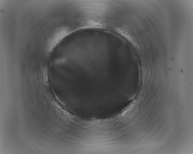X0000077351455200610201312