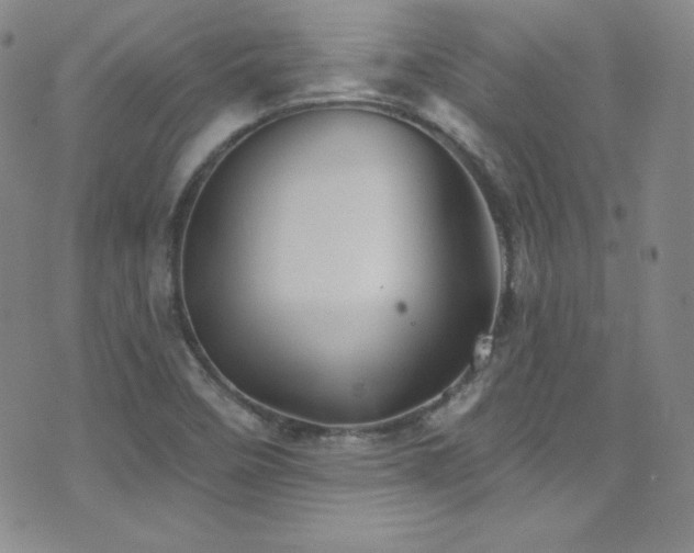 X0000077351458200610201312