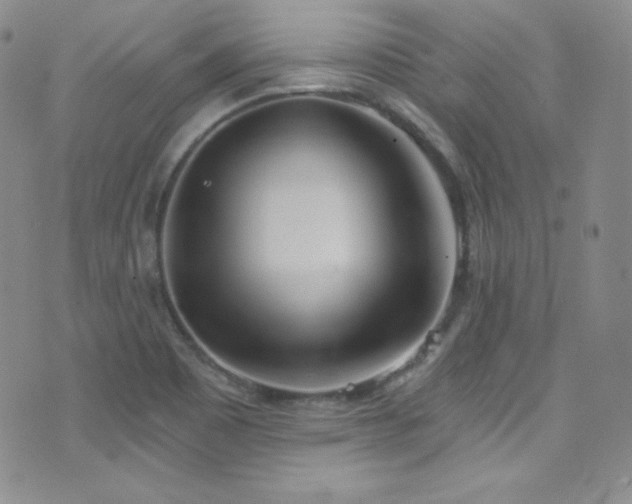 X0000077351465200610201312