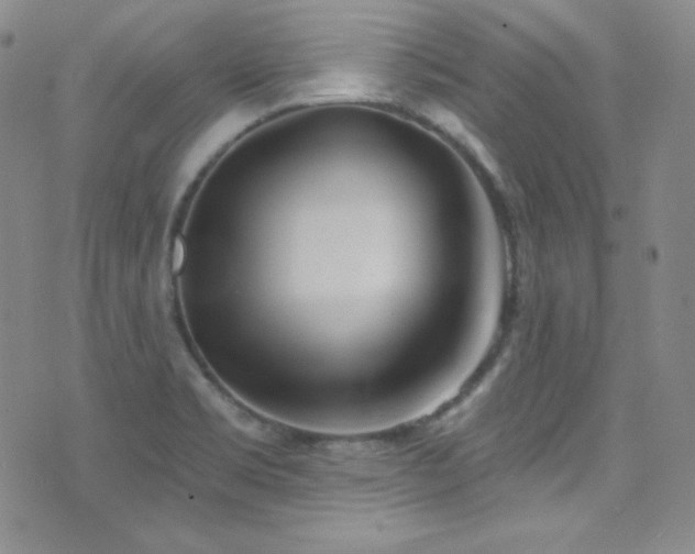 X0000077351469200610201312