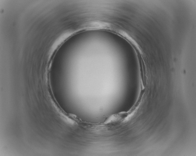 X0000077351477200610201312