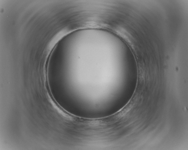 X0000077351479200610201312