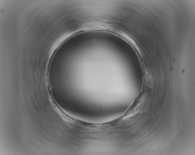 X0000077351485200610201312