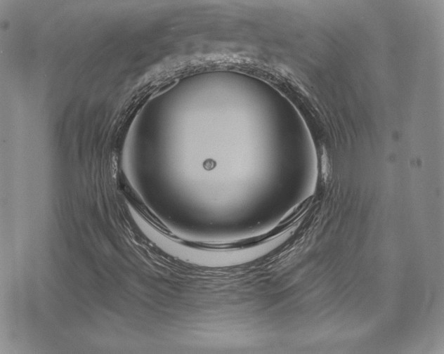 X0000077351492200610201311