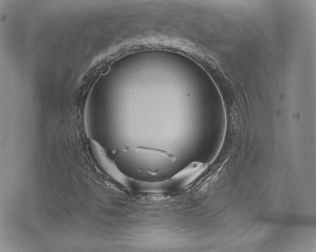 X0000077351494200610201311