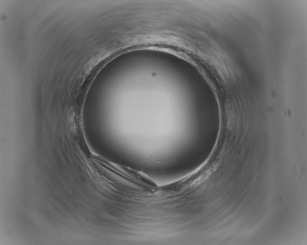 X0000077351497200610201311