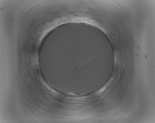 X0000077351498200610201311