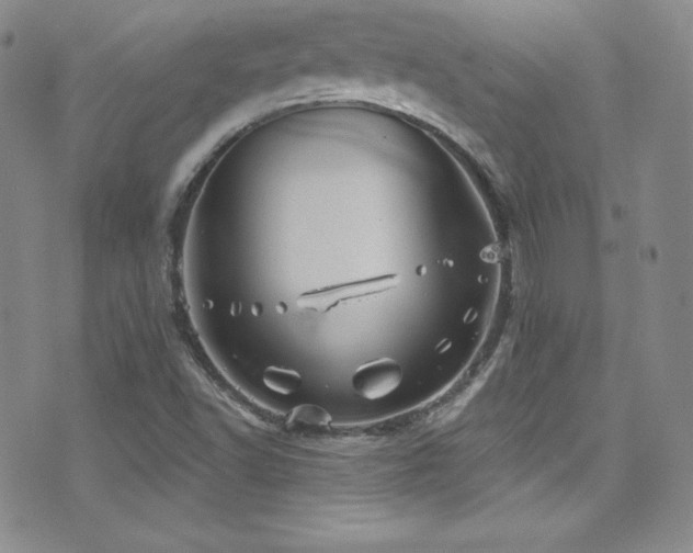 X0000077351502200610201311