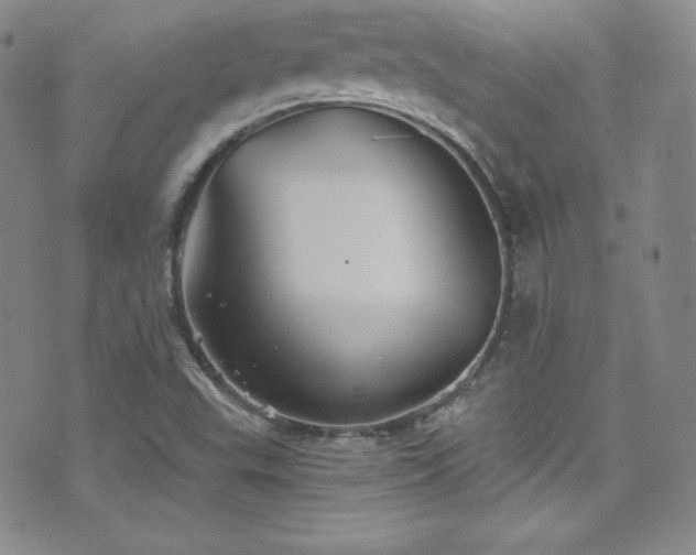 X0000077351503200610201311