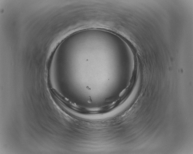 X0000077351508200610201311