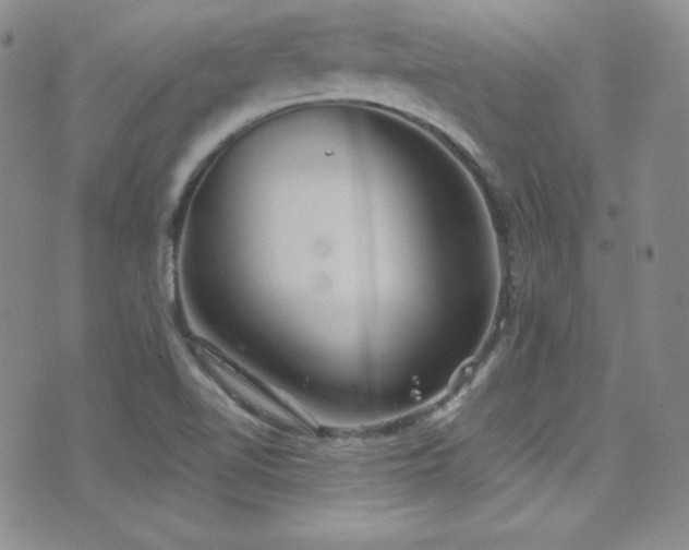 X0000077351510200610201311