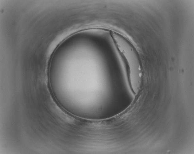 X0000077351512200610201311