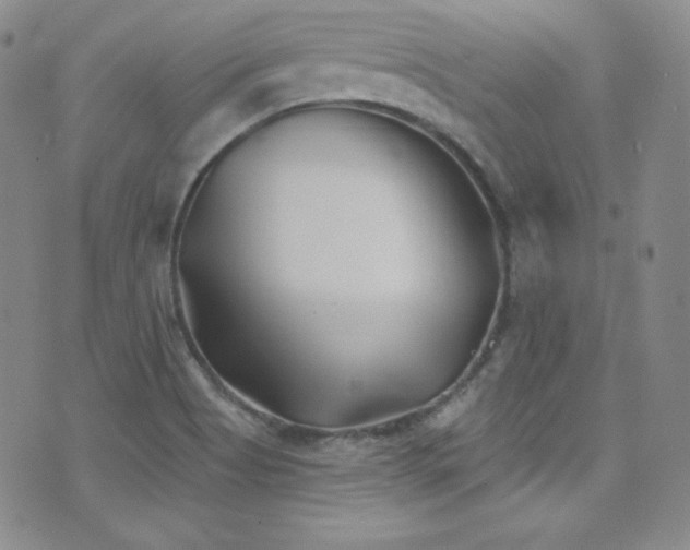 X0000077351513200610201311