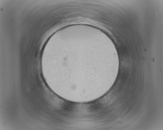 X0000077351514200610201311