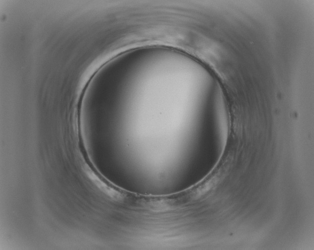 X0000077351516200610201311