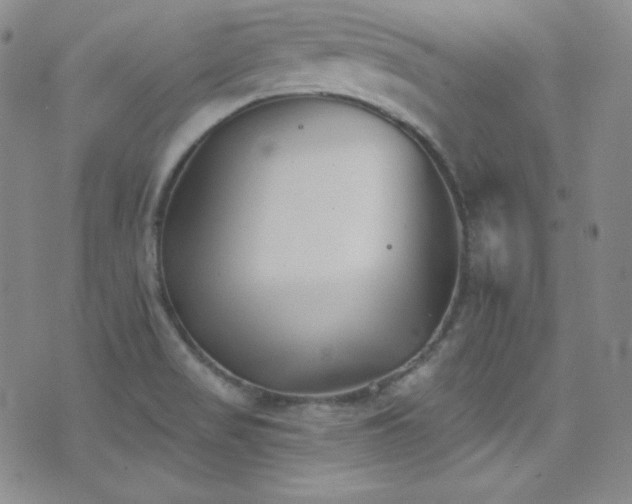 X0000077351517200610201311