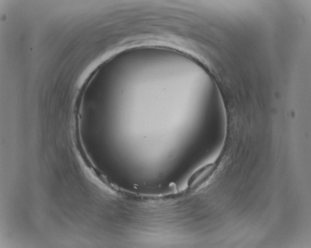 X0000077351518200610201311