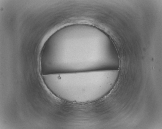 X0000077351520200610201311