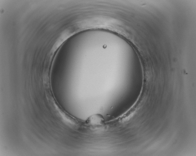 X0000077351521200610201311