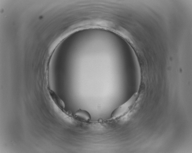 X0000077351524200610201311