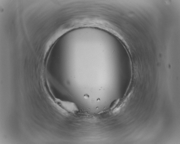 X0000077351525200610201311