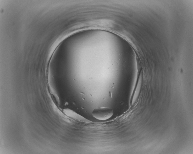 X0000077351532200610201312