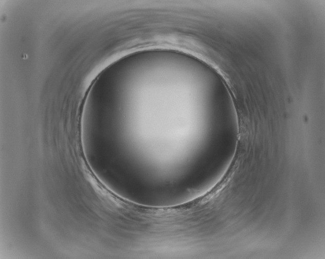 X0000077351534200610201312
