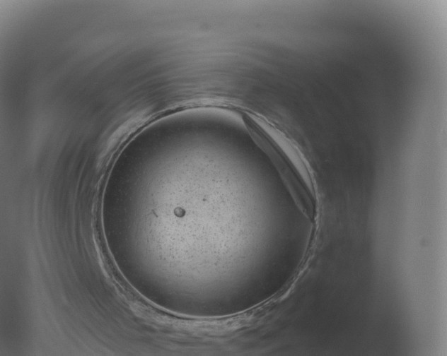 X0000077350001200610271840