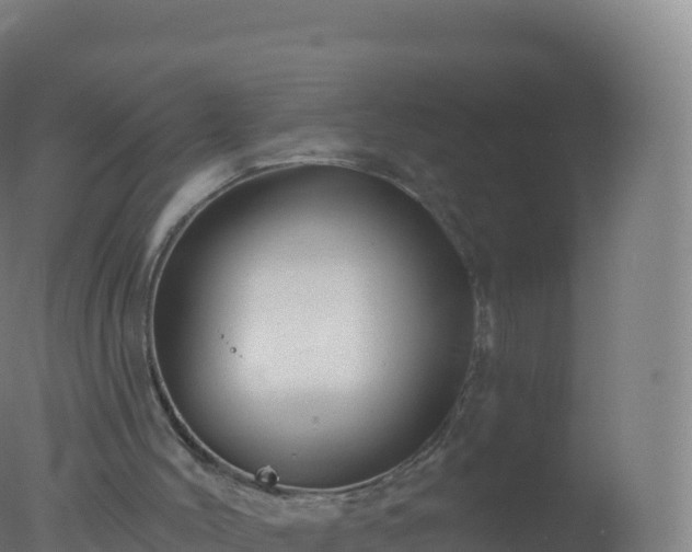 X0000077350004200610271840