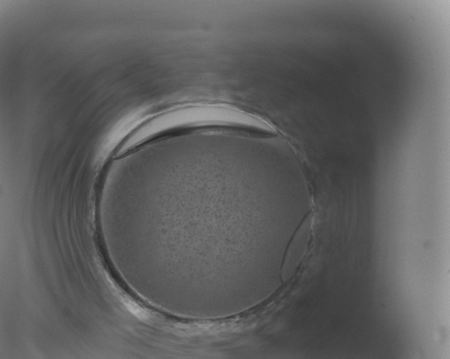 X0000077350005200610271840